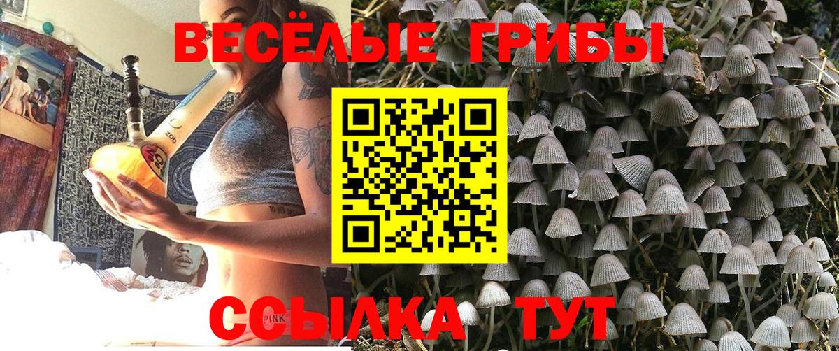 Псилоцибиновые грибы мухоморы Ростов Великий