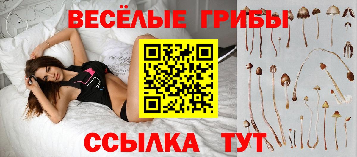 Ростов Великий  Галлюциногенные грибы Cubensis  Вход с VPN  Псилоцибиновые грибы мицелий 